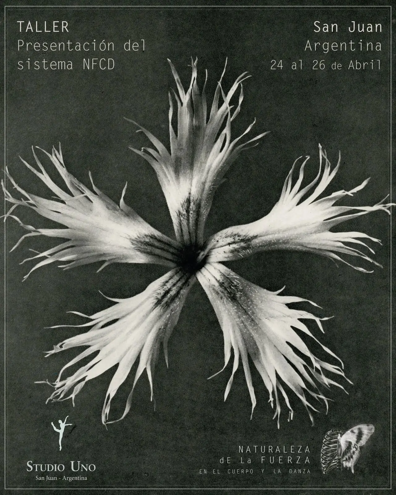 Flayer Flor San Juan